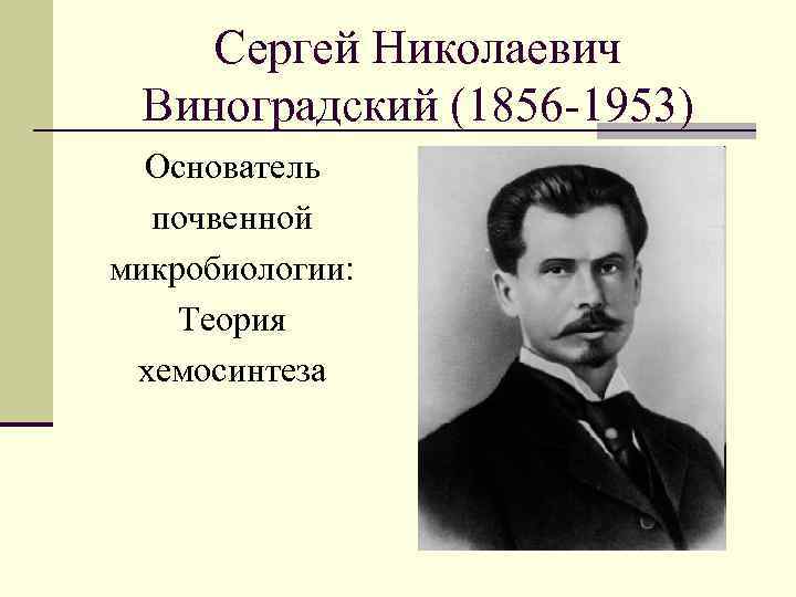 Сергей Николаевич Виноградский (1856 -1953) Основатель почвенной микробиологии: Теория хемосинтеза 