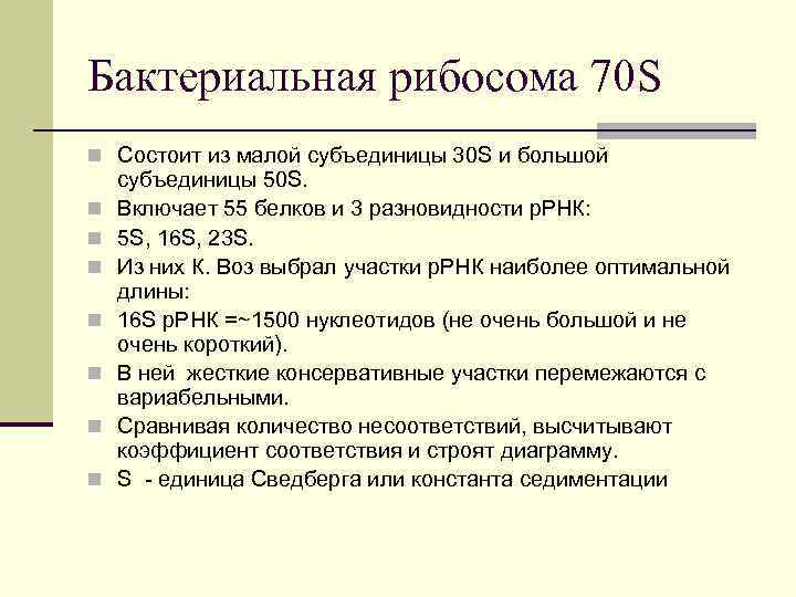 Бактериальная рибосома 70 S n Состоит из малой субъединицы 30 S и большой n