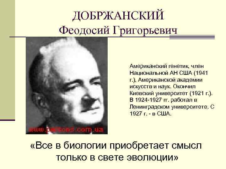 ДОБРЖАНСКИЙ Феодосий Григорьевич Американский генетик, член Национальной АН США (1941 г. ), Американской академии