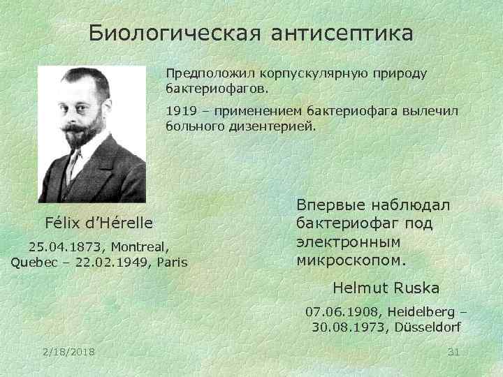 Биологическая антисептика Предположил корпускулярную природу бактериофагов. 1919 – применением бактериофага вылечил больного дизентерией. Félix