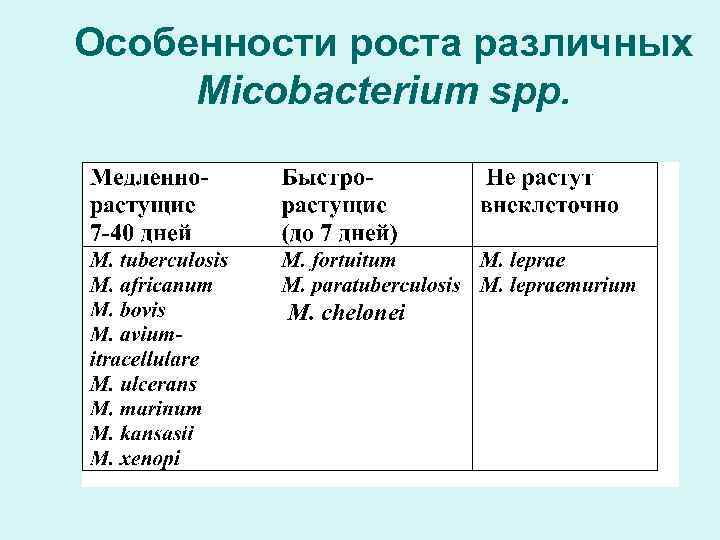 Особенности роста различных Micobacterium spp. М. chelonei 