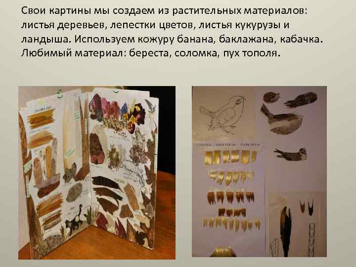 Свои картины мы создаем из растительных материалов: листья деревьев, лепестки цветов, листья кукурузы и