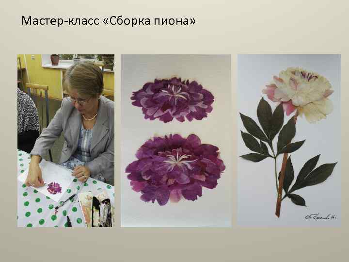 Мастер-класс «Сборка пиона» 