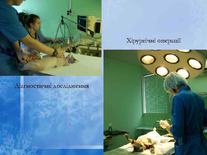 Хірургічні операції Діагностичні дослідження 