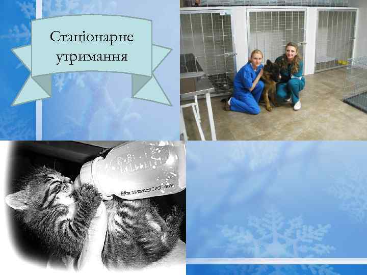 Стаціонарне утримання 