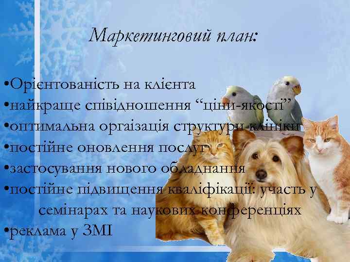 Маркетинговий план: • Орієнтованість на клієнта • найкраще співідношення “ціни-якості” • оптимальна оргаізація структури