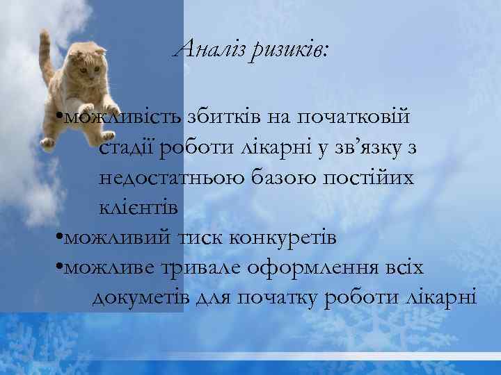 Аналіз ризиків: • можливість збитків на початковій стадії роботи лікарні у зв’язку з недостатньою