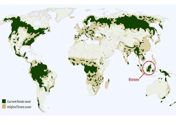 Deforestation 1950 en 2010 (and decrease of fertillity) 