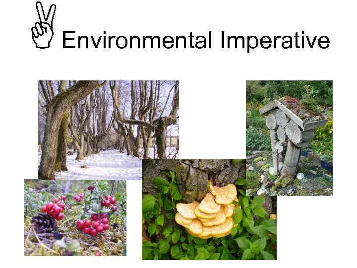  Environmental Imperative 