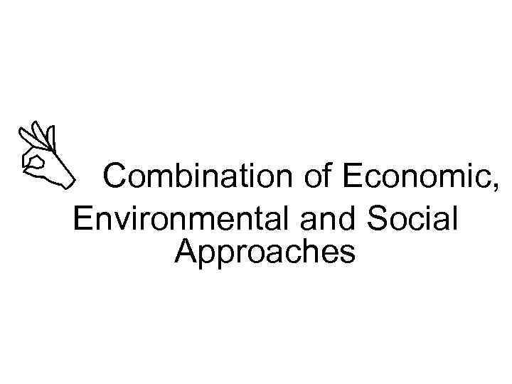  Combination of Economic, Environmental and Social Approaches 