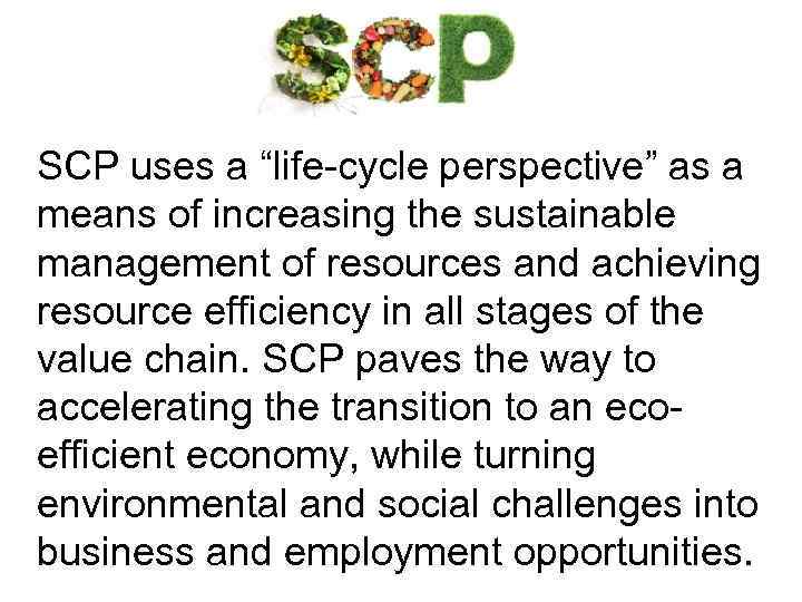 SCP uses a “life-cycle perspective” as a means of increasing the sustainable management of