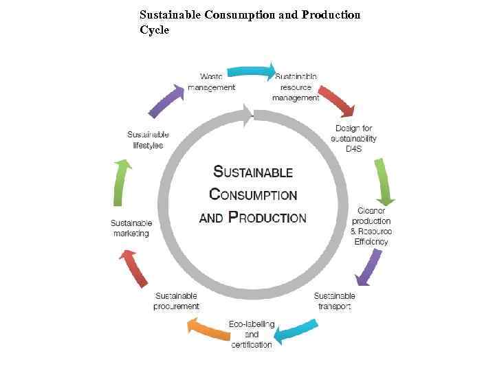 Sustainable Consumption and Production Cycle 
