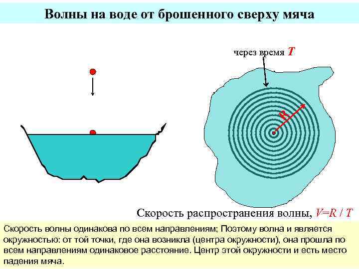 Волны на воде от брошенного сверху мяча через время T R Скорость распространения волны,
