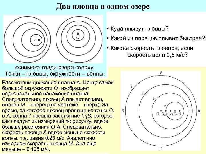 Два пловца в одном озере • Куда плывут пловцы? • Какой из пловцов плывет