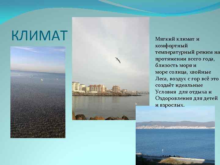 КЛИМАТ Мягкий климат и комфортный температурный режим на протяжении всего года, близость моря и