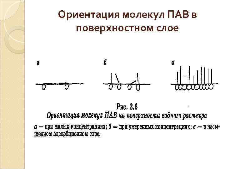 На рисунке представлены экспериментальные. Ориентация молекул пав в поверхностном слое. Ориентации молекул пав в насыщенном адсорбционном слое. Строение адсорбционных слоев пав. Ориентация молекул в поверхностном слое.