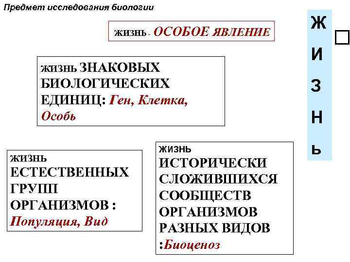 Предмет исследования биологии ЖИЗНЬ - ОСОБОЕ ЯВЛЕНИЕ ЗНАКОВЫХ БИОЛОГИЧЕСКИХ ЕДИНИЦ: Ген, Клетка, Особь ЖИЗНЬ