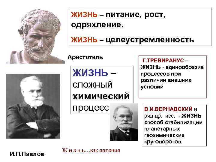 ЖИЗНЬ – питание, рост, одряхление. ЖИЗНЬ – целеустремленность Аристотель ЖИЗНЬ – сложный химический процесс