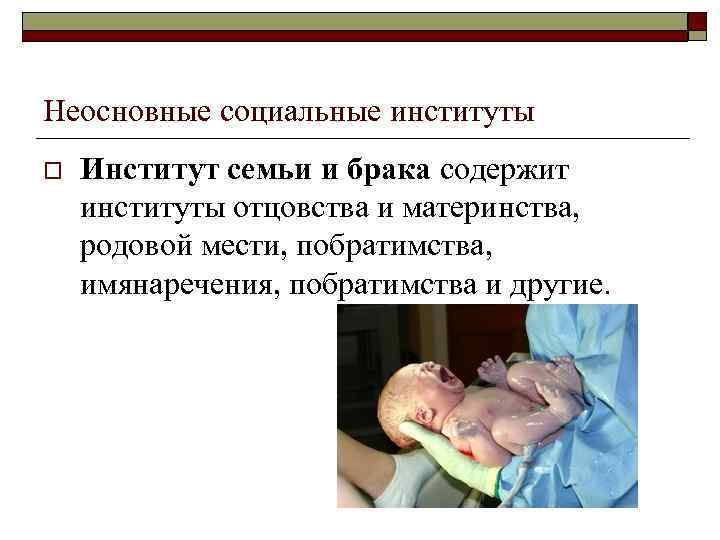 Неосновные социальные институты o Институт семьи и брака содержит институты отцовства и материнства, родовой
