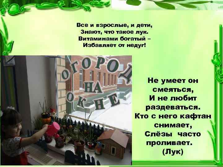 Все и взрослые, и дети, Знают, что такое лук. Витаминами богатый – Избавляет от