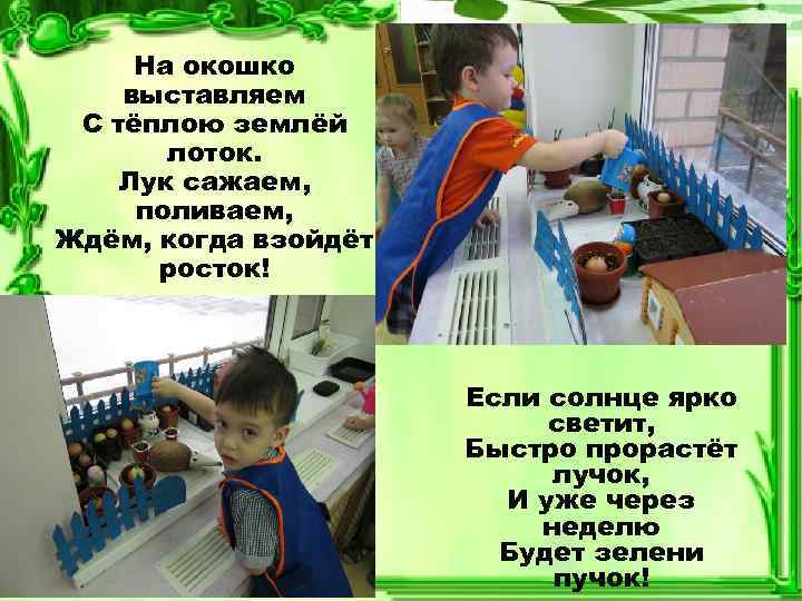На окошко выставляем С тёплою землёй лоток. Лук сажаем, поливаем, Ждём, когда взойдёт росток!