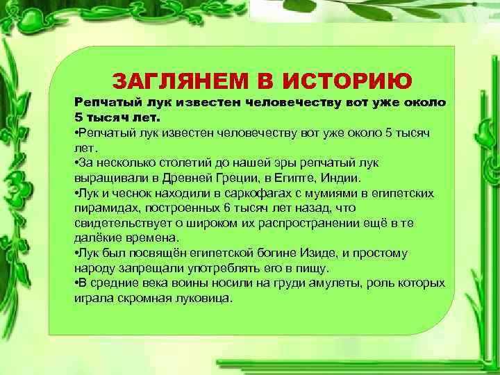 ЗАГЛЯНЕМ В ИСТОРИЮ Репчатый лук известен человечеству вот уже около 5 тысяч лет. •