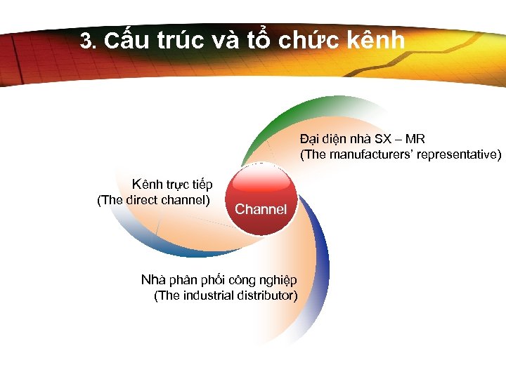 3. Cấu trúc và tổ chức kênh Đại diện nhà SX – MR (The