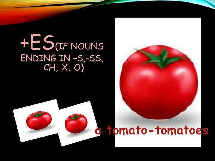 +ES(IF NOUNS ENDING IN –S, -SS, -CH, -X, -O) a tomato-tomatoes 