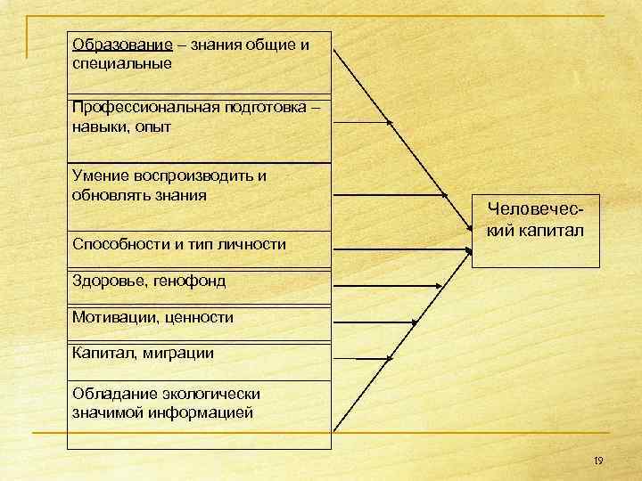 Специальные познания