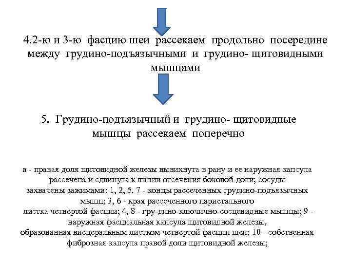 4. 2 -ю и 3 -ю фасцию шеи рассекаем продольно посередине между грудино-подъязычными и