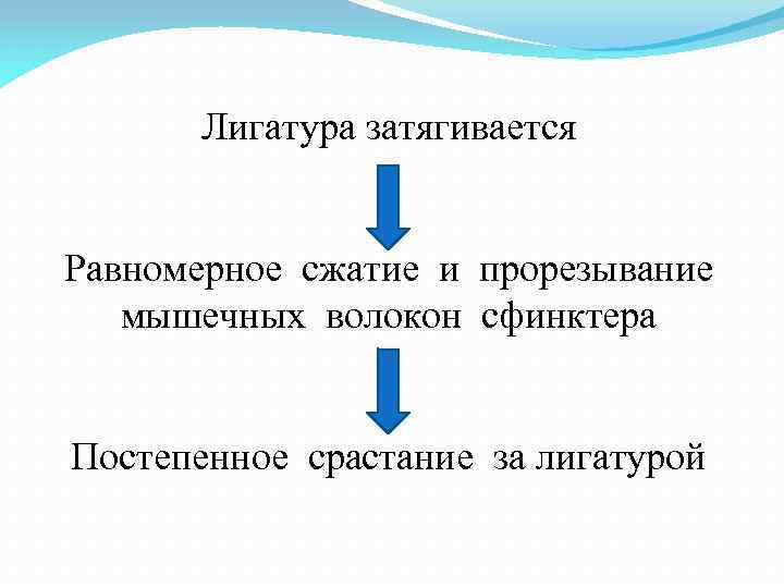 Лигатура затягивается Равномерное сжатие и прорезывание мышечных волокон сфинктера Постепенное срастание за лигатурой 