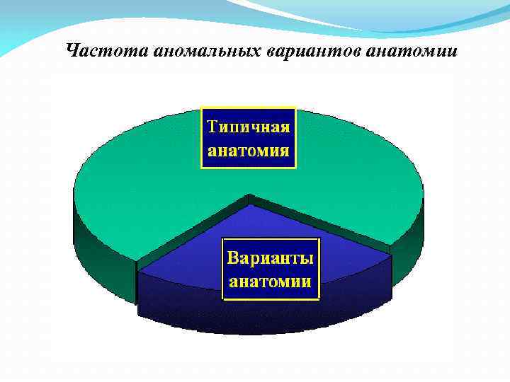  Частота аномальных вариантов анатомии 