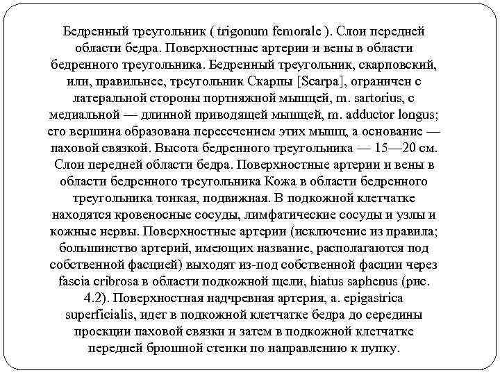 Бедренный треугольник ( trigonum femorale ). Слои передней области бедра. Поверхностные артерии и вены