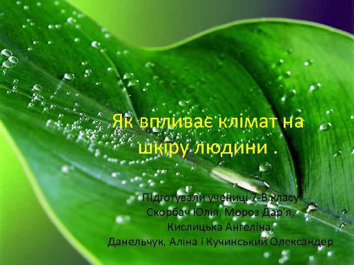 Як впливає клімат на шкіру людини. Підготували учениці 7 -В класу Скорбач Юлія, Мороз