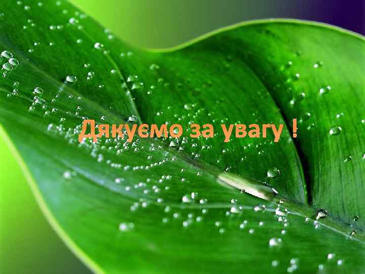 Дякуємо за увагу ! 