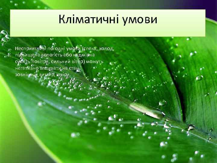 Кліматичні умови Несприятливі погодні умови (спека, холод, підвищена вологість або надмірна сухість повітря, сильний