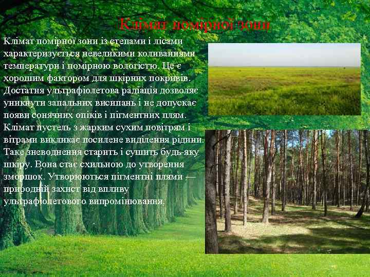 Клімат помірної зони із степами і лісами характеризується невеликими коливаннями температури і помірною вологістю.