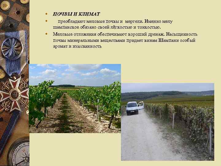 w w w ПОЧВЫ И КЛИМАТ преобладают меловые почвы и мергели. Именно мелу шампанское