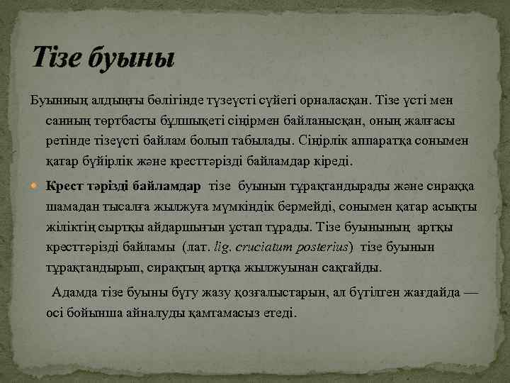 Тізе буыны Буынның алдыңғы бөлігінде түзеүсті сүйегі орналасқан. Тізе үсті мен санның төртбасты бұлшықеті