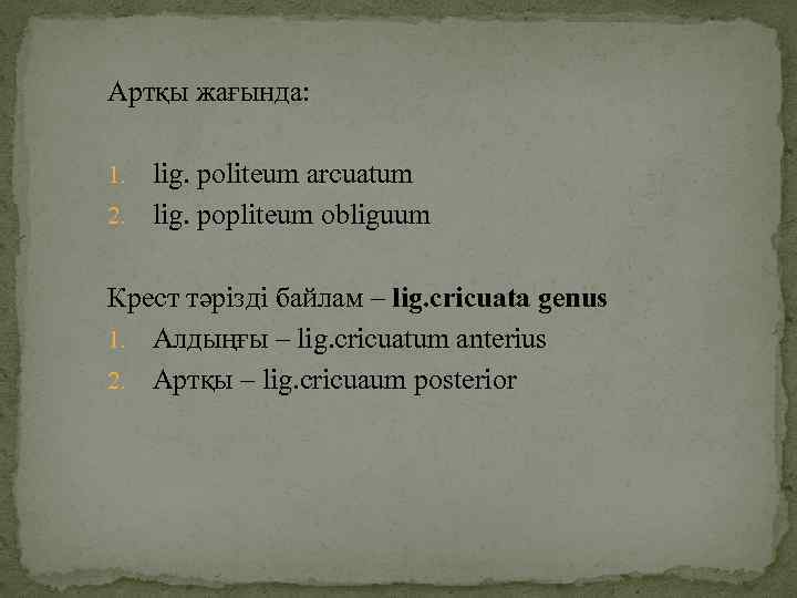 Артқы жағында: lig. politeum arcuatum 2. lig. popliteum obliguum 1. Крест тәрізді байлам –