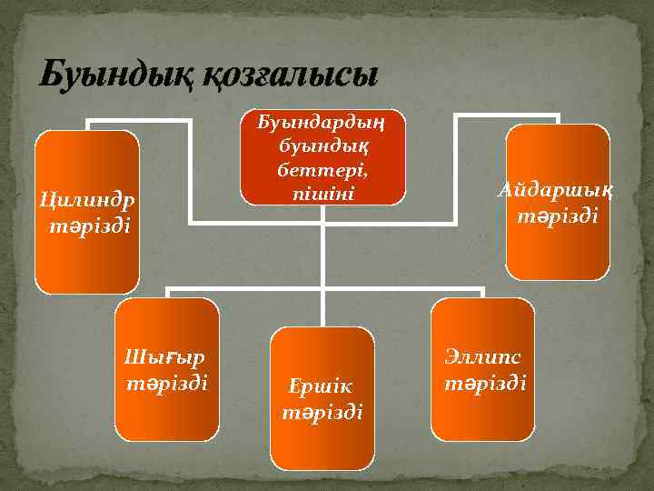 Буындық қозғалысы Цилиндр тәрізді Шығыр тәрізді Буындардың буындық беттері, пішіні Ершік тәрізді Айдаршық тәрізді