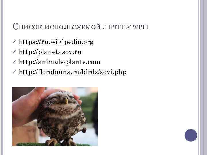 СПИСОК ИСПОЛЬЗУЕМОЙ ЛИТЕРАТУРЫ https: //ru. wikipedia. org http: //planetasov. ru http: //animals-plants. com http: