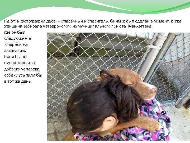 На этой фотографии двое – спасенный и спаситель. Снимок был сделан в момент, когда