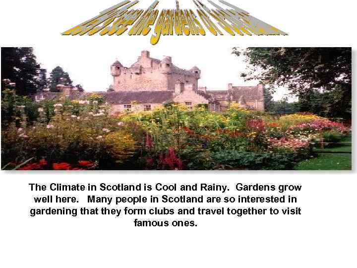 The Climate in Scotland is Cool and Rainy. Gardens grow well here. Many people