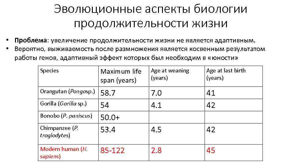 Эволюционные аспекты биологии продолжительности жизни • Проблема: увеличение продолжительности жизни не является адаптивным. •