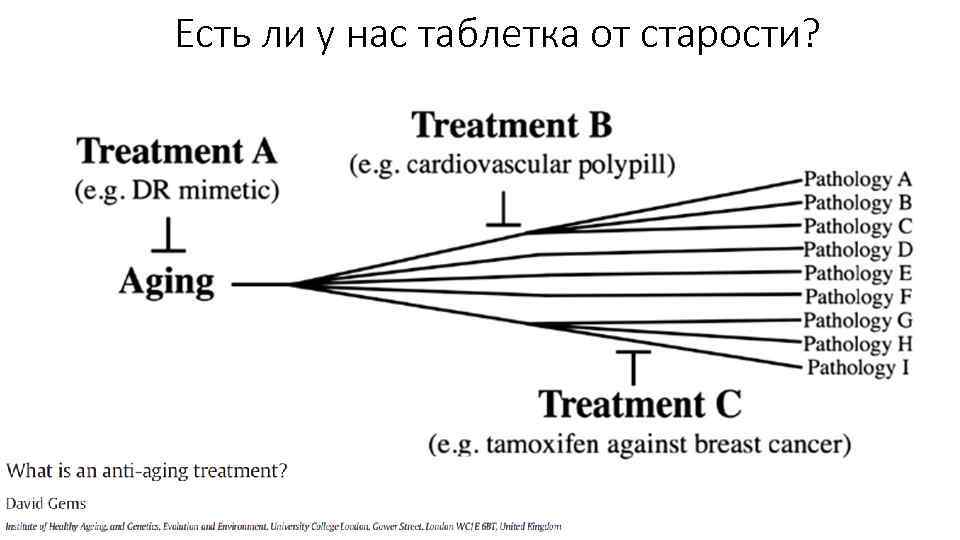 Есть ли у нас таблетка от старости? 