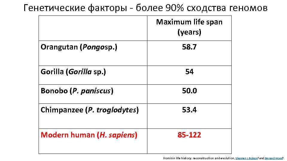 Генетические факторы - более 90% сходства геномов Maximum life span (years) Orangutan (Pongosp. )