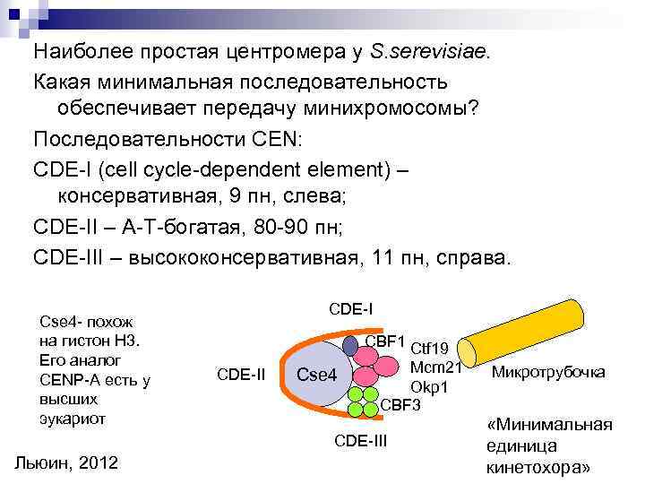 Наиболее простая центромера у S. serevisiae. Какая минимальная последовательность обеспечивает передачу минихромосомы? Последовательности CEN: