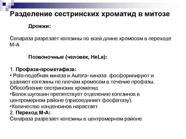 Разделение сестринских хроматид в митозе Дрожжи: Сепараза разрезает когезины по всей длине хромосом в