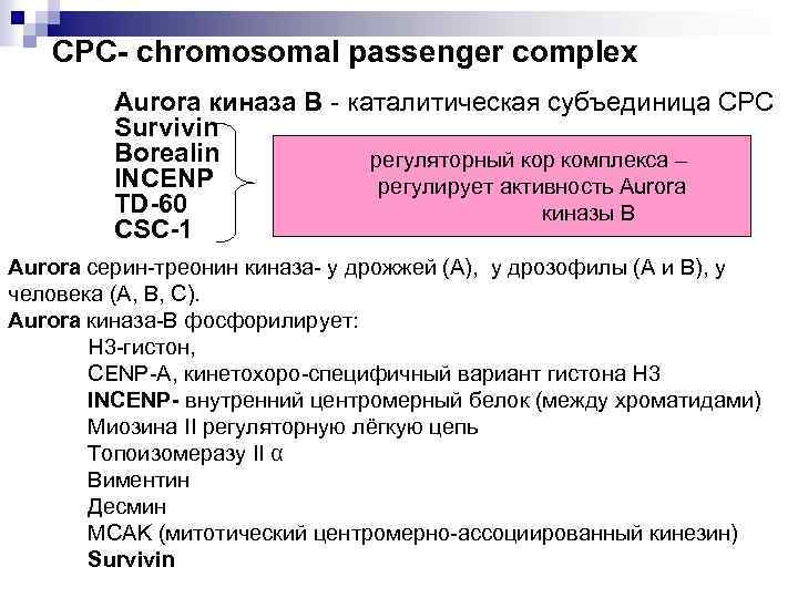 СРС- chromosomal passenger complex Aurora киназа В - каталитическая субъединица СРС Survivin Borealin регуляторный